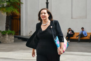 Paulina Vodanovic reemplazará a Álvaro Elizalde en el Senado