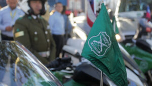 Calma, calma, que no panda el cúnico