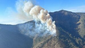 Incendio forestal afecta a Zapallar: apuntan a problemas en tendido eléctrico