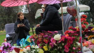 La importancia de conectar con la madre en su ausencia