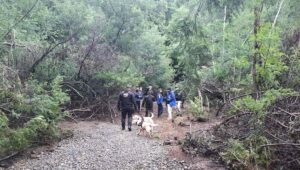 Tragedia en Collipulli: padre e hijo fallecen tras caer su tractor por una quebrada