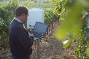 Las tecnologías que están transformando la industria vitivinícola en Chile