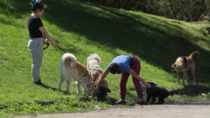 Detienen a presunto violador del Parque de Los Reyes: lanzaba a las víctimas al río