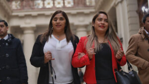 Senadora Fabiola Campillai celebra desafuero de Cordero: 