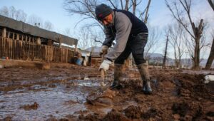 Sernac monitoreará y fiscalizará comercio en zonas afectadas por sistema frontal