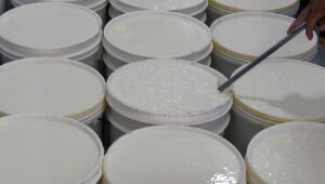 Qué es la listeria y por qué el Minsal emitió una alerta alimentaria