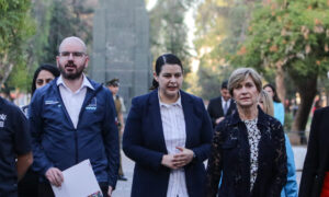 Evelyn Matthei detalla un 