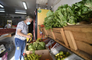 Cambios en el Bolsillo Familiar Electrónico: revisa quiénes son los nuevos beneficiarios