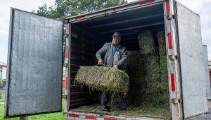Socabio y CMCP busca impulsar a 300 familias de agricultores afectados por incendios rurales