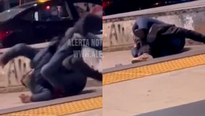 VIDEO - Las técnicas de artes marciales que usó un hombre para reducir a delincuente en Viña del Mar