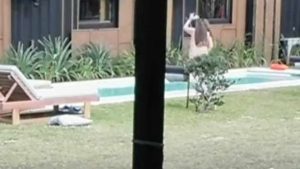 VIDEO - Participante de Gran Hermano genera ola de reacciones tras bañarse desnuda en la piscina