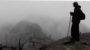 Tifus de los Matorrales: la desconocida enfermedad que afecta a los viajeros en el sur