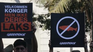 Cuando la salmonicultura transgrede los límites