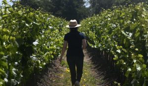 ¿Fin de semana largo?: las mejores escapadas de Santiago para disfrutar del feriado