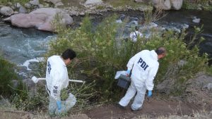 La primera víctima fatal en el Ñuble: adulto mayor murió ahogado en un riachuelo