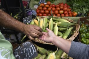 Sistema frontal: Gobierno proyecta alza de 10% en el precio de las verduras