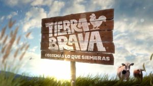 Los famosos que han deslizado la posibilidad de ingresar a Tierra Brava, el nuevo reality de Canal 13