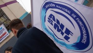 Profesionalizar y flexibilizar la contratación de funcionarios públicos