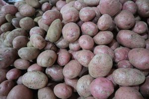 Hasta $35 mil el saco: Gobierno acudirá a la FNE ante el aumento del precio de las papas