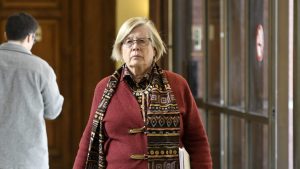 Diputada Bulnes anuncia requerimiento por dichos de Naveillán: 