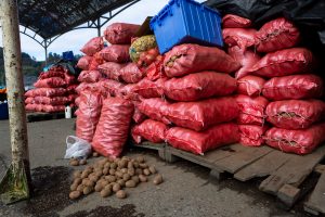 Papa argentina: ¿Dónde encontrarla y cuánto cuesta?