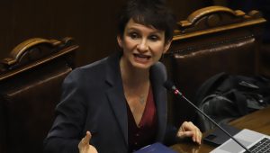 Gobierno adelanta veto: Senado despacha Ley de Usurpaciones e incluye la 