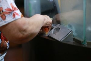 Se pagan antes de Fiestas Patrias: los siete bonos que se entregan en septiembre