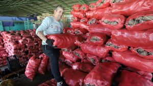 Pese al alza de papas y tomates: IPC de agosto sólo subió 0,1%