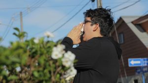 Llegó septiembre: cómo combatir las alergias en primavera