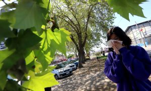 ¿Resfrío o alergia? Cómo identificar los síntomas ahora que se viene la primavera