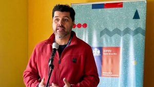 Director del Serviu de Los Ríos es despedido tras ser formalizado y detenido por caso Cuentas Corrientes