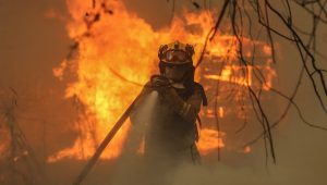Fiscalía apunta a responsabilidad de eléctricas en incendios forestales en el sur del país