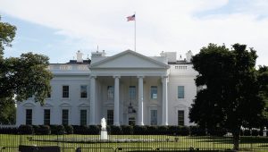 Estados Unidos y la institucionalidad tensionada