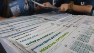 Educación superior: gratuidad fue otorgada al 78% de los postulantes y supera el medio millón de estudiantes