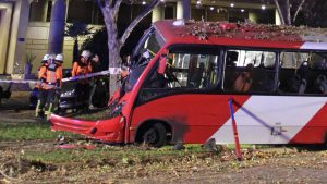 VIDEO - Iba drogado: chofer de bus RED derribó postes, semáforo y un árbol