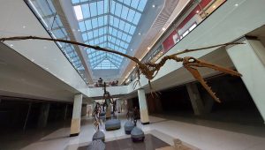 Exhibición “Dinosaurios, más allá de la extinción” llega a la región del Biobío