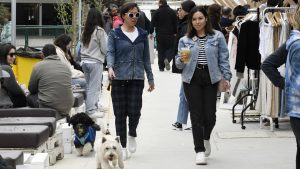 No más costos extras para las pymes