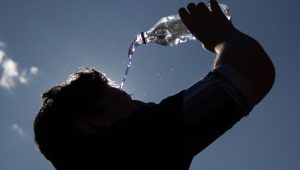 Experto alerta por olas de calor de cara al verano: 