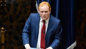 Rojo Edwards y nueva Constitución: 