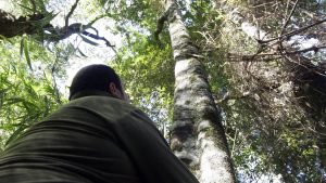 Más Estado en la preservación de nuestra fauna