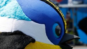 ¿Competirán en regiones?: las sedes donde se desarrollarán los Parapanamericanos Santiago 2023