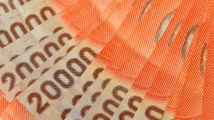 Bolsillo Familiar Electrónico: cuándo es el último pago y quiénes lo reciben