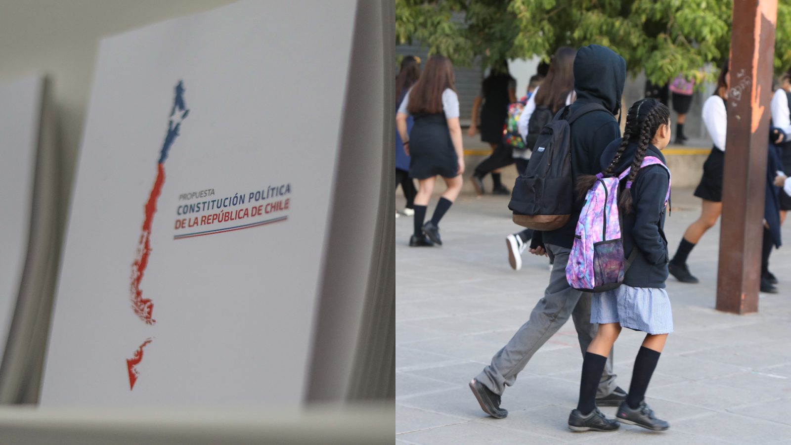 opinión constitución educación