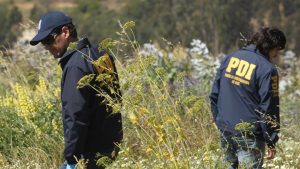 PDI investiga el hallazgo de osamentas en el cerro Mariposas de Valparaíso