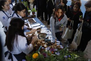 Cómo postular a los fondos de la Junaeb: hay $900 millones para fortalecer las 