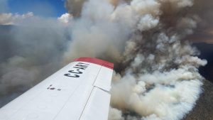 Incendio forestal en Quilpué consume 1.700 hectáreas: se mantiene Alerta Amarilla
