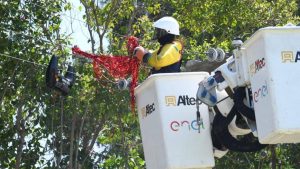 Cinco consejos prácticos para evitar accidentes eléctricos en las Fiestas de Fin de Año