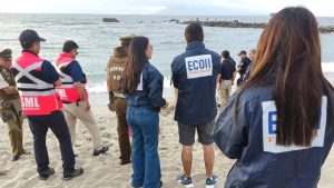Qué se sabe del cuerpo que apareció flotando en concurrida playa de Antofagasta