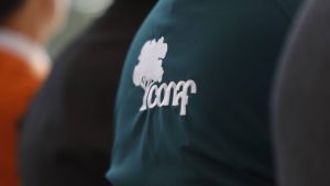 VIDEO - Botón Rojo: de qué se trata la medida que se activó en seis regiones del país