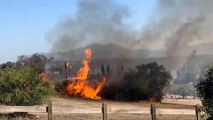 Calor y viento: Iván Torres explica con peras y manzanas la emergencia por incendios forestales en Valparaíso